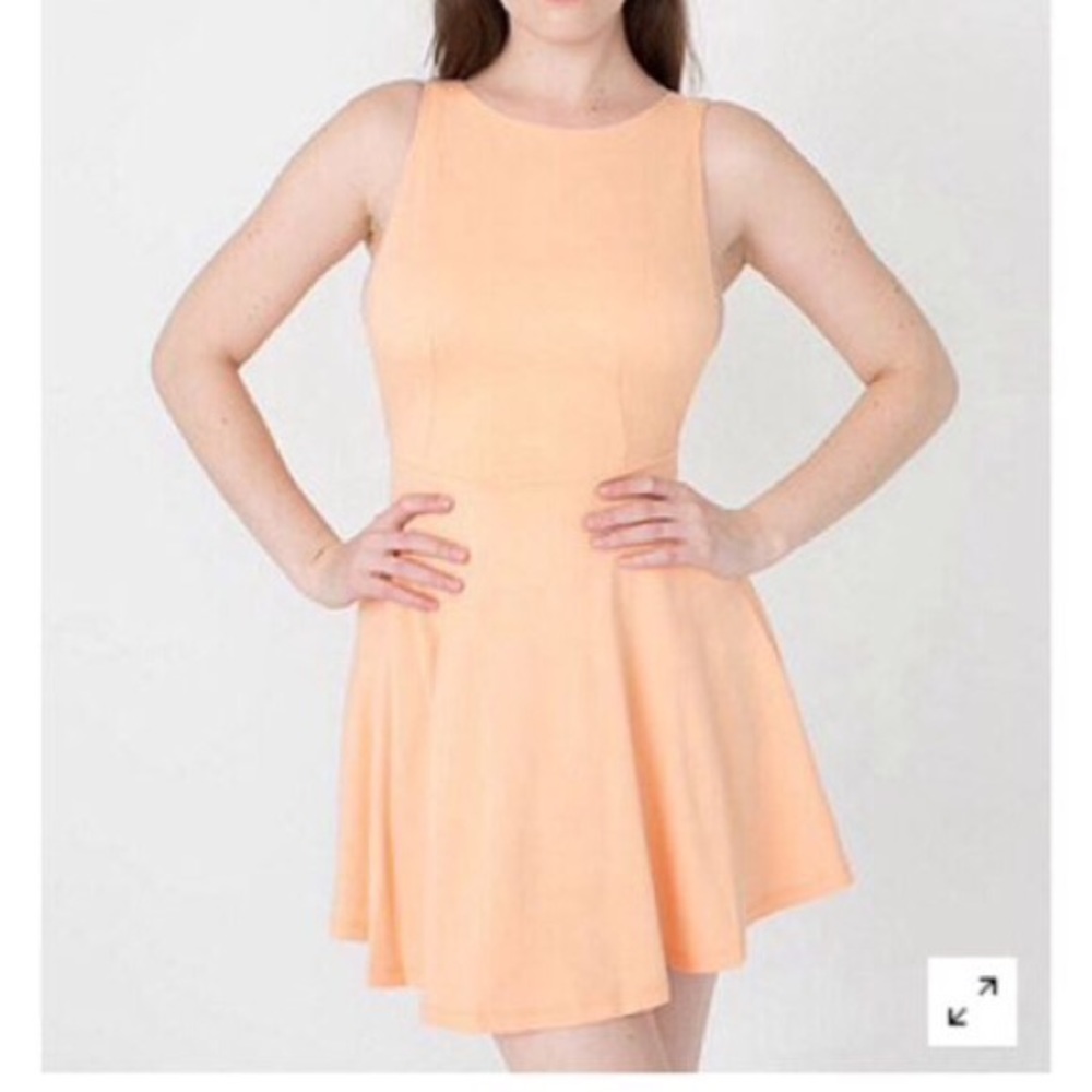 American Apparel Ponte Skater Dress